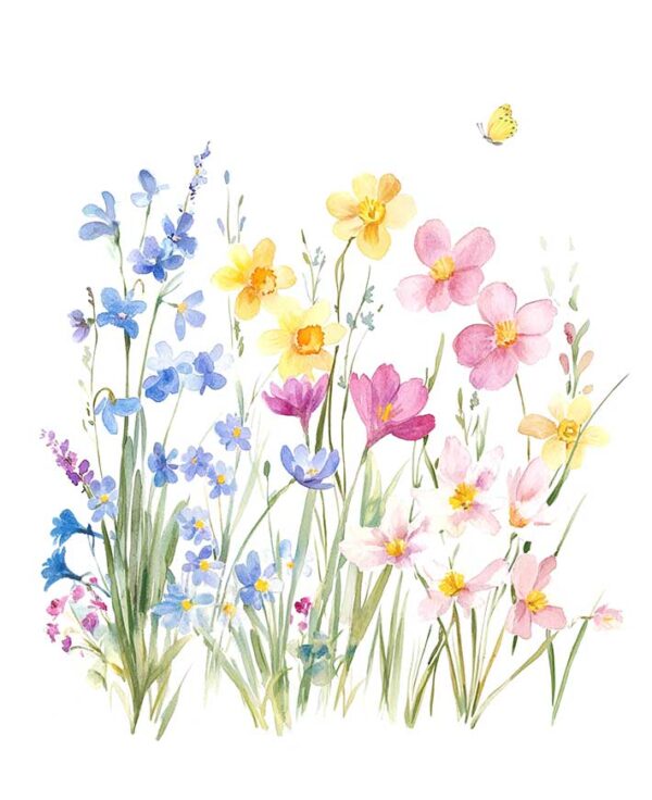 2026-ti-flair-SPRING-251118